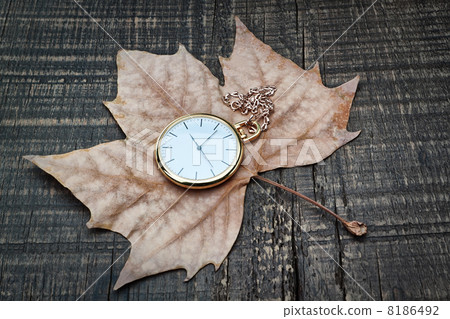Pocket watch the autumn leaves. On a wooden texture. Pocket watch the autumn leaves. On a wooden texture. 8186492