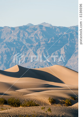 Dunes in Death Valley Dunes in Death Valley 8186696