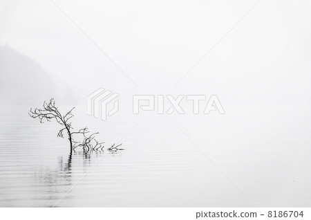Calm Water Calm Water 8186704