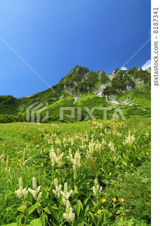 Summer of the Komagatake volcano Summer of the Komagatake volcano 8187341