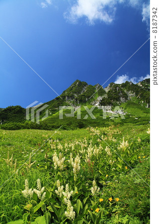 Summer of the Komagatake volcano 8187342