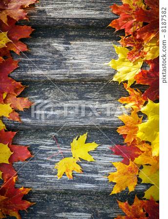 Autumn background Autumn background 8187582