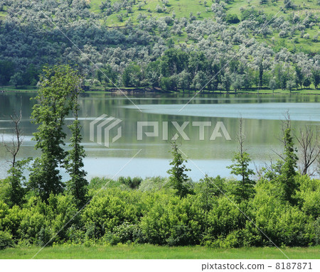 A summer lake near the hill. 8187871