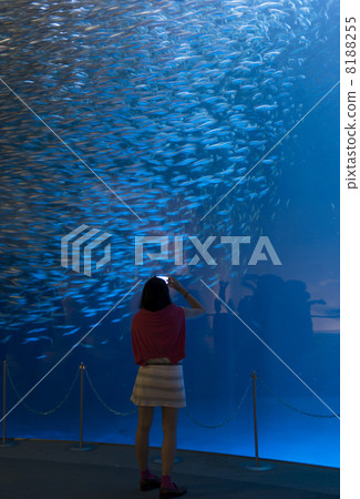 Aquarium date Aquarium date 8188255