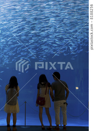 Aquarium date 8188256