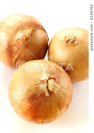 洋蔥·4 8189362