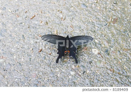 在雨期間，Onage彩虹吸水 8189409