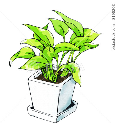 葉子植物potos盆的植物 葉子植物potos盆的植物 8190208