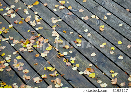Boards with leaves background. 8192117