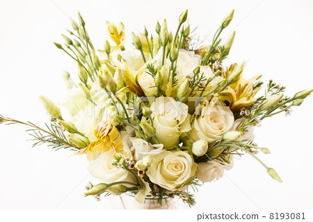 beautiful flowers 8193081
