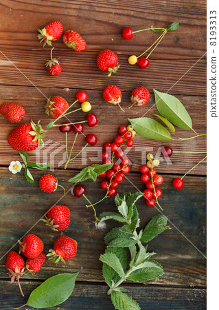 Red berries Red berries 8193313