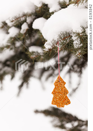 Bird seeds Bird seeds 8193842