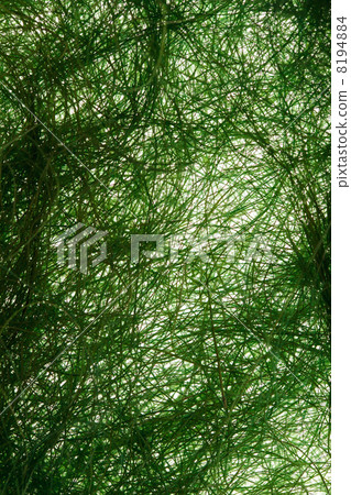 Natural sisal 8194884