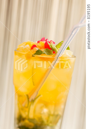 mojito cocktail mojito cocktail 8195195