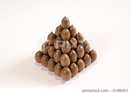 橡子金字塔 8196003