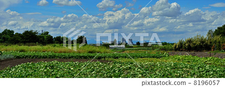 我的Numata領域·秋天天空和遙遠的埼玉新都心市中心全景風景 8196057