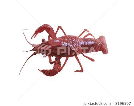 crayfish 8196507