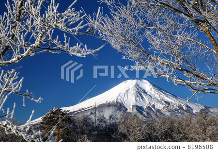 霧冰和富士山 8196508