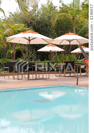 Pool of City Hotel 8196657
