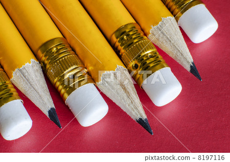 several pencils with erasers 8197116