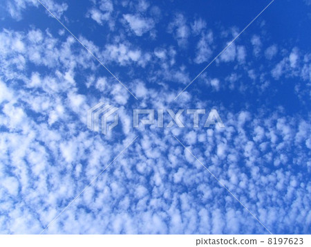 Scala cloud lateral flow Scala cloud lateral flow 8197623