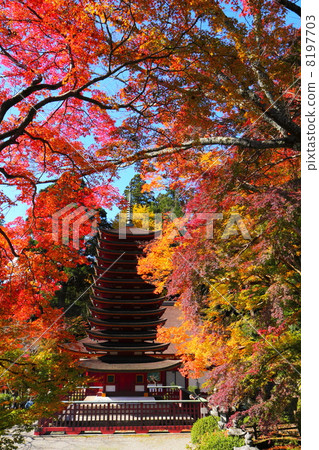 Daisyama Shrine Ten Three Level Tower and Autumn Leaves 8197703