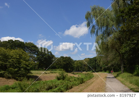 小川公園小金井市 小川公園小金井市 8197927