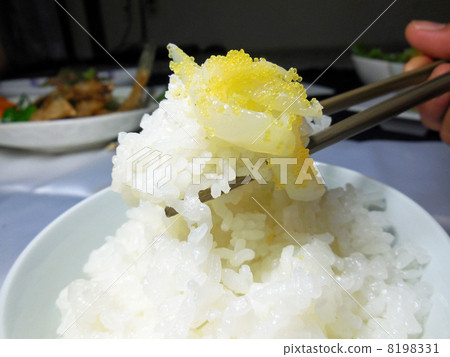 Just put on warm rice 8198331