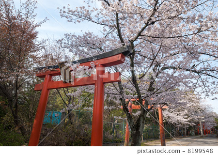 吉田神社Susumu Takenaka Inari神社 吉田神社Susumu Takenaka Inari神社 8199548
