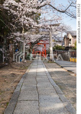 Yoshida Shrine Susumu Takenaka Inari Shrine 8199552