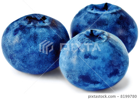 Three fresh blueberry isolated on white background 8199780