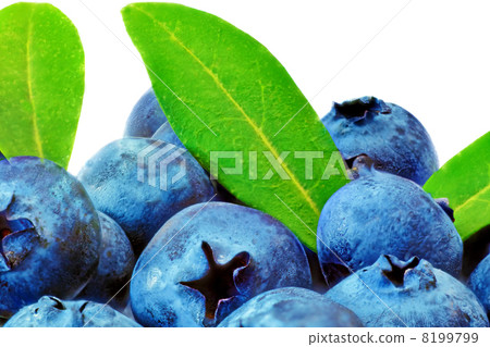 Heap  fresh blueberrys  isolated on white background 8199799
