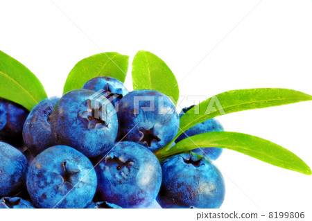 Heap  fresh blueberrys  isolated on white background 8199806
