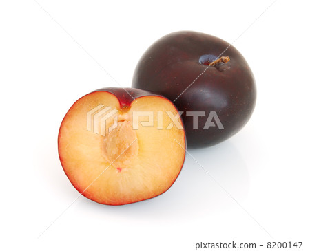 Plum Plum 8200147