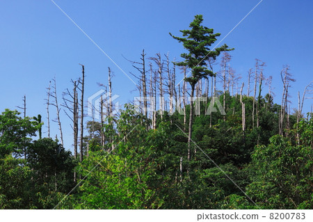 Mt. Hatasaki 8200783