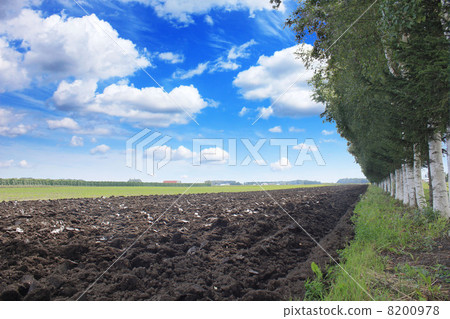 Tokachi plain 8200978