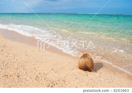 Ocean sea palm and beach 8201663
