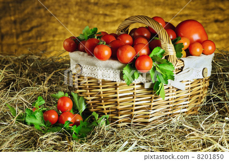 Tomatoes Tomatoes 8201850