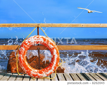 life-buoy ring 8202043