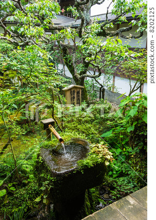 Kyoto Ohara Sanzenin Clean Water Kyoto Ohara Sanzenin Clean Water 8202125