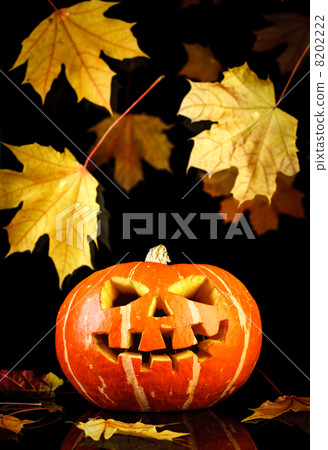 Halloween - old jack-o-lantern Halloween - old jack-o-lantern 8202222