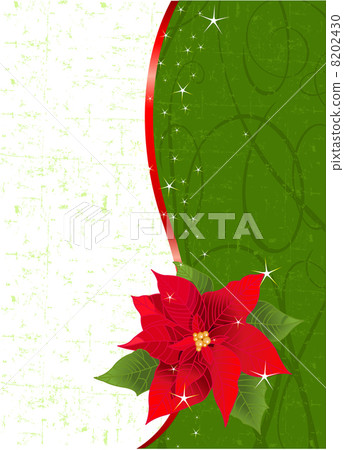 Red poinsettia vertical Christmas place card 8202430