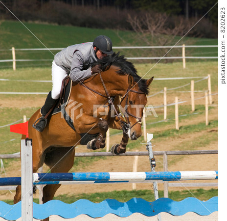Showjumping competition 8202623