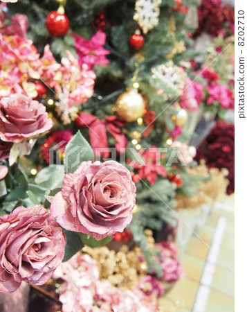 粉紅玫瑰 8202710