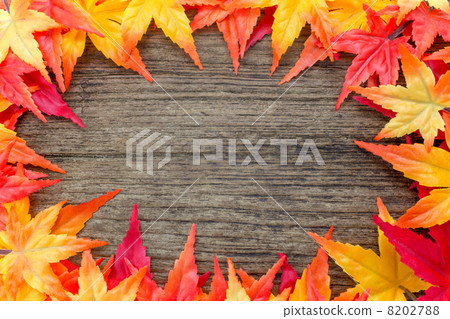 Frame of autumn leaves 8202788