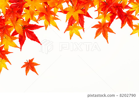 Frame of autumn leaves 8202790