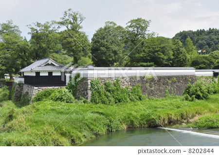 Castle of Hitoyoshi 8202844