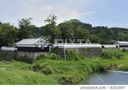 Castle of Hitoyoshi Castle of Hitoyoshi 8202847
