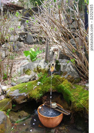 Jokoji寺的春天 8202985