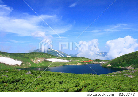 仲夏的Hakuba-oo 8203778